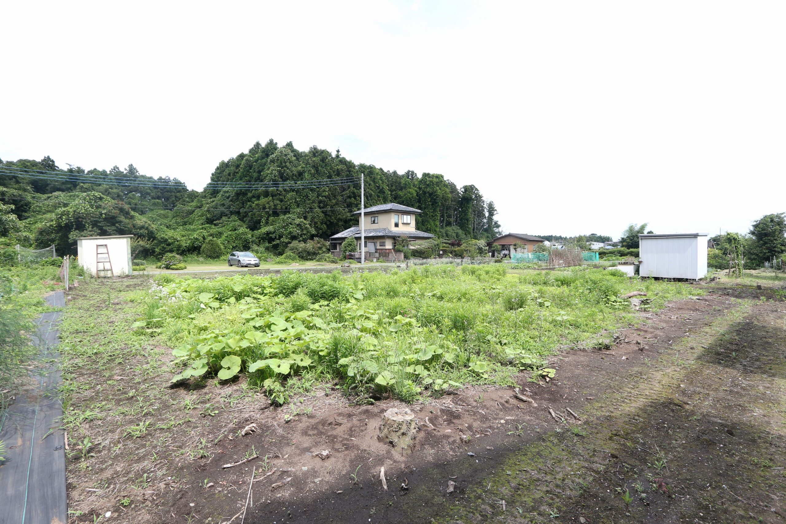 船場（東海駅）