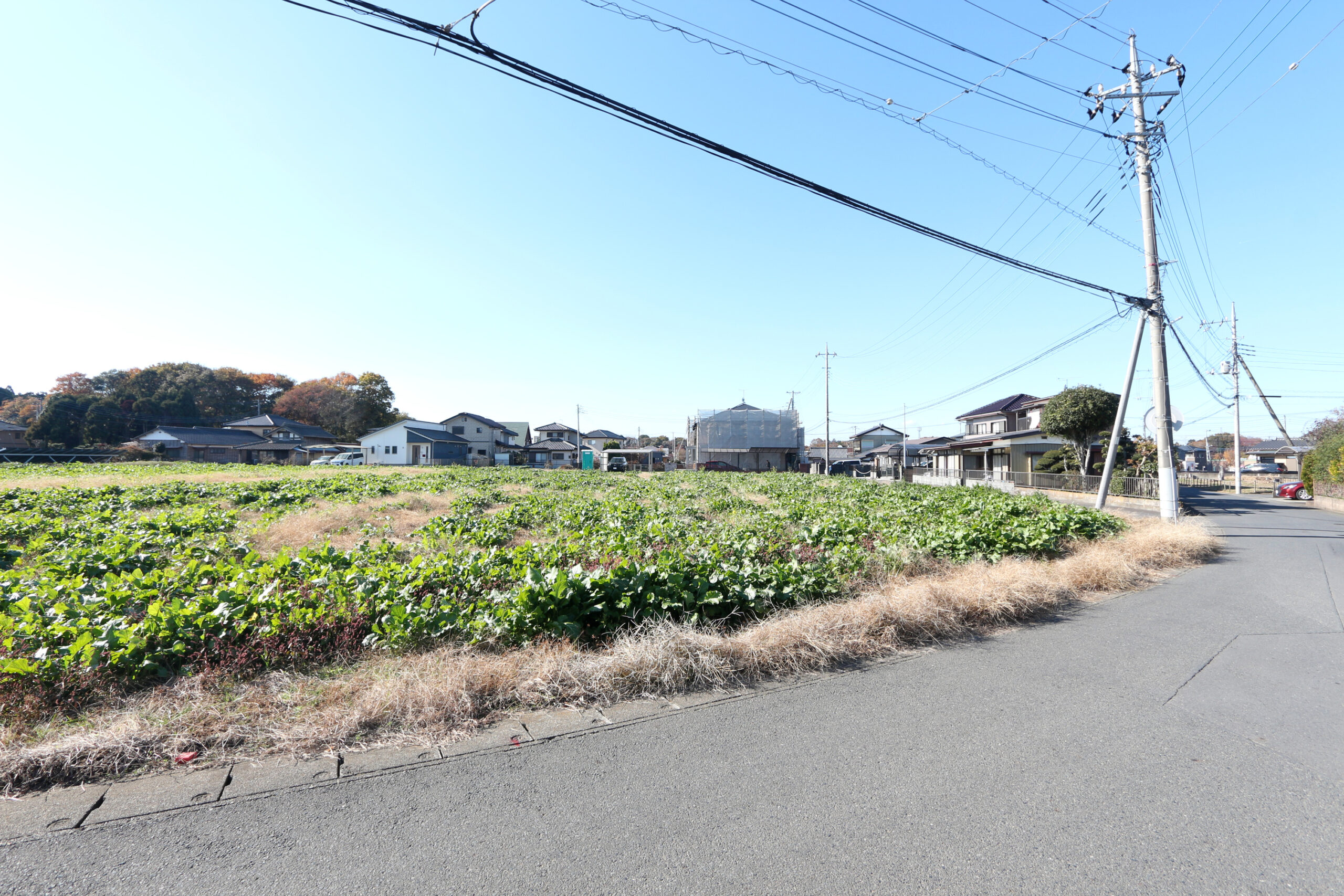 石神内宿（東海駅）